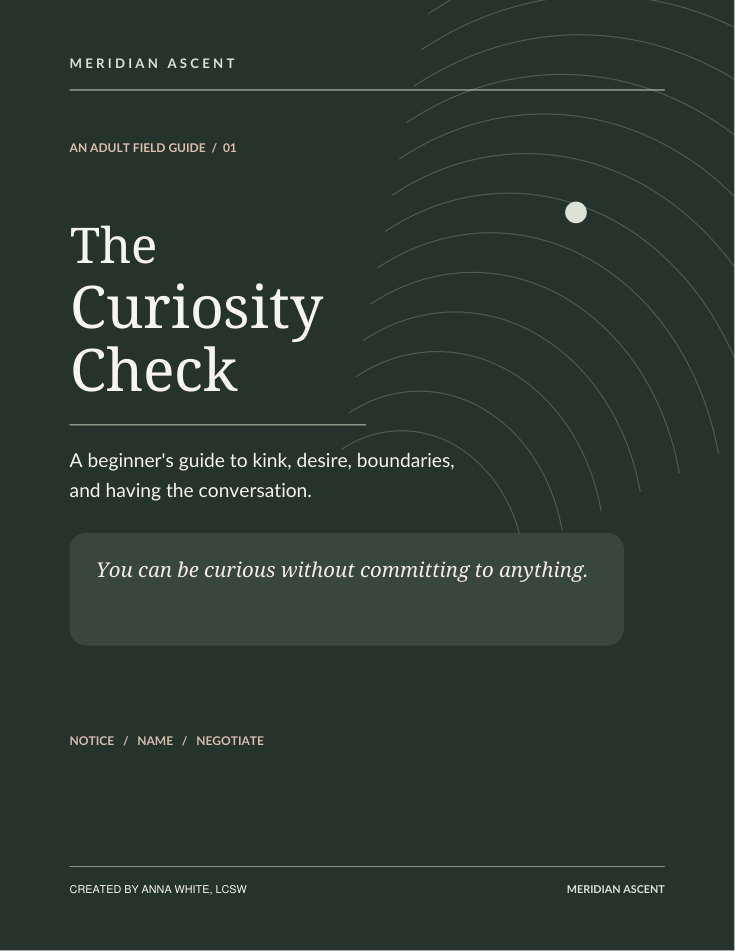 Cover of The Curiosity Check, a beginner’s guide to kink, desire, boundaries and having the conversation